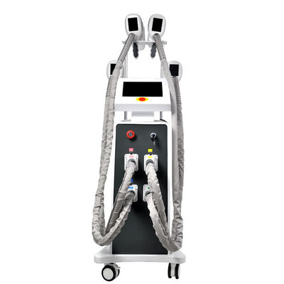 Gelata grassa Cryolipolysis di SME che dimagrisce l'OEM della macchina 800W