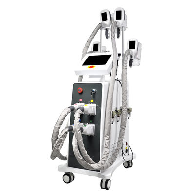Gelata grassa Cryolipolysis di SME che dimagrisce l'OEM della macchina 800W