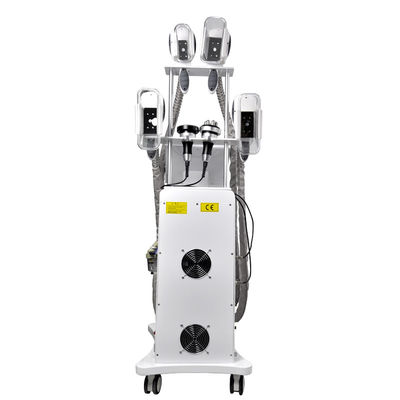 Gelata grassa Cryolipolysis di SME che dimagrisce l'OEM della macchina 800W