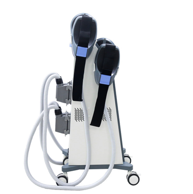 Stimolatore neo del muscolo della maniglia SME di rf due, macchina di