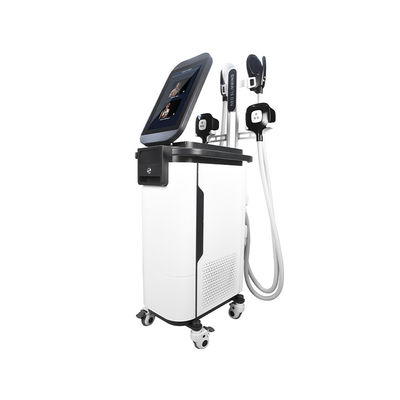 2 in 1 corpo di SME Cryo scolpire la macchina  4 tratta la macchina muscolare di Estimulador