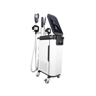2 in 1 corpo di SME Cryo scolpire la macchina  4 tratta la macchina muscolare di Estimulador