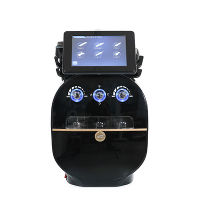 6 in 1 Dermabrasione Facial Therapy Machine con 6 maniglie