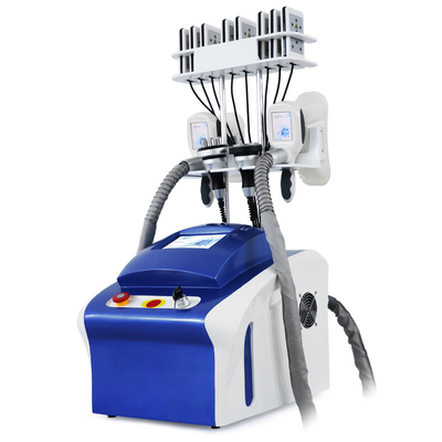 Cryolipolysis professionale rimozione del grasso Cryo cellulite riduzione del grasso macchina di congelamento del corpo macchina dimagrante