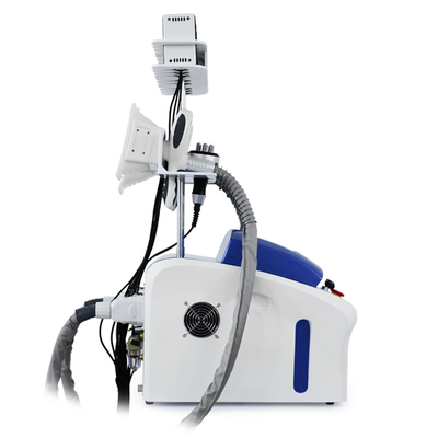 Cryolipolysis professionale rimozione del grasso Cryo cellulite riduzione del grasso macchina di congelamento del corpo macchina dimagrante