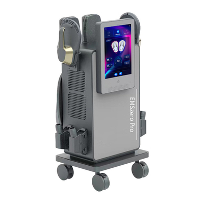 EMS macchina di modellazione del corpo con RF EMS 4 maniglie con cuscino