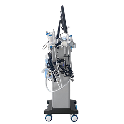 Fabbrica Hydrofacial Dermabration Acqua Jet Ossigeno Acqua Peel Cura della pelle Hydra Machine