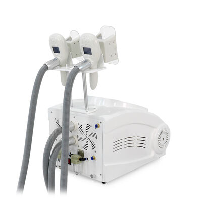 Non invasivo indolore con due maniglie per uso domestico e commerciale Cryo Freezing Beauty Machine Slimming Beauty Machine