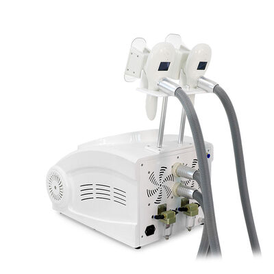 Non invasivo indolore con due maniglie per uso domestico e commerciale Cryo Freezing Beauty Machine Slimming Beauty Machine