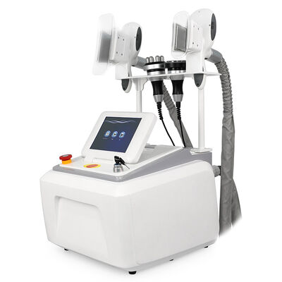4 in 1 non invasivo indolore portatile 4 maniglie per uso domestico e commerciale Cryo Freezing Beauty Machine Slimming Beauty Machine