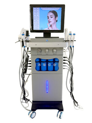 Dispositivo professionale 18 in 1 Aqua Exfoliate Oxygen Nourish Repair Facial Bright Spa