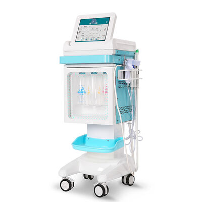Hydro Oxygen Facial Machine ️ facile utilizzo per saloni e centri SPA Pulizia profonda + ringiovanimento con ossigeno 2 in 1 macchina per la pulizia del viso